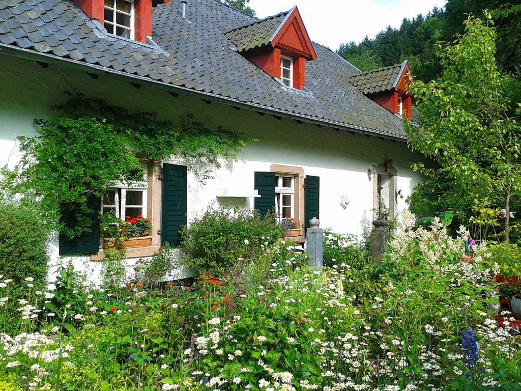 cottage garden